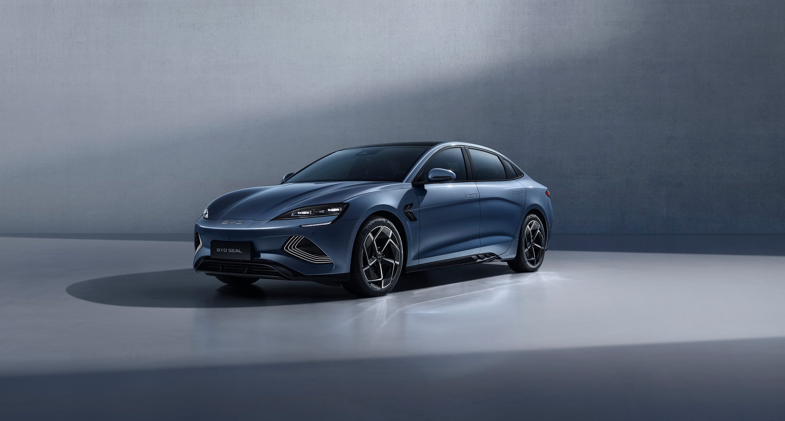 seal blue edit scaled