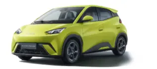 byd-dolphin-mini-precio